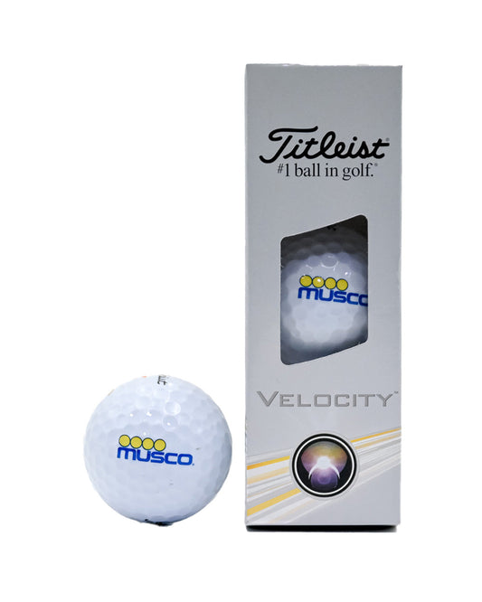 1013 - Golf Ball Titleist